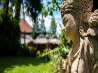 8 Days Hoop and Yoga Retreat in Koh Samui, Thailand