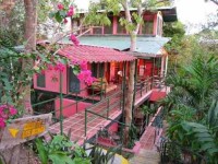 8 Days Dream Life Yoga Retreat in Costa Rica