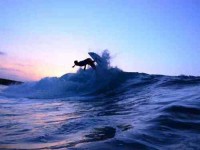 7 Days Surf and Yoga Retreat in Canary Islands, Spain
