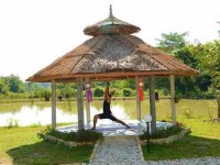 6 Days Chiang Rai Yoga and Meditation Retreat