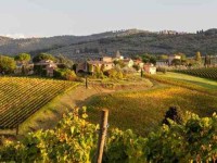 7 Days Wine, Food and Yoga Retreat in Tuscany
