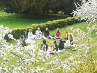 4 дней Тоскана Основы Айенгар йоги и Будийский