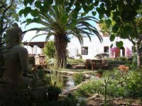 10 дней Ibiza Йога Retreat в Испании	