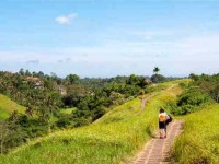 4 Days Explore Ubud, Bali Yoga Retreat