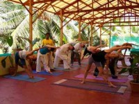 10 дней Медитация Внимательность Йога Retreat в Индии	