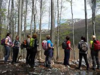 8 Days Yoga Retreat and Mindful Hiking in Croatia