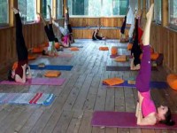 28 Days 200Hr Yoga Teacher Training in India