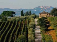8 Days Adventure and Yoga Retreat in Italy