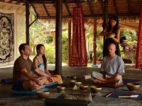 11 Дней Detox Retreat в Ко Панган, Таиланд	