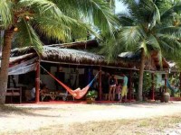 11 Days Detox Retreat in Koh Phangan, Thailand