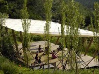 7 Days Dance and Yin Yoga Retreat in Italy