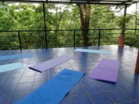 8 Days Conscious Culinary Yoga Retreat in Costa Rica