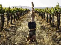 7 Days Wine and Yoga Retreat in Italy
