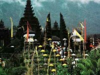 6 Days Transformative Yoga Retreat in Bali