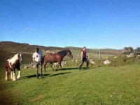 5 Days Horsemanship and Yoga Retreat in Ireland