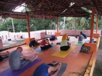 7 Days Ayurveda Yoga Healing Therapy Retreat in India