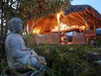 7 Days Reiki and Yoga Retreat in Costa Rica