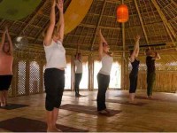 7 Days Adventure Yoga Retreat in Indonesia