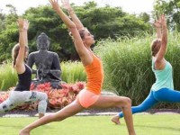 7 Days Unwind with Yoga Retreat in Hawaii