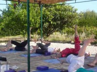 6 Days Orange Tree Yoga Retreat Spain