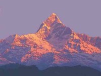 8 Days Yoga Retreat in Nepal