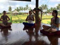 5 Days Yoga Retreat in Ubud, Bali