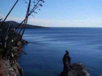 8 Days Greece Yoga Retreat in Aegina Island