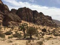 3 Days Desert Connection Yoga Retreat in Jordan
