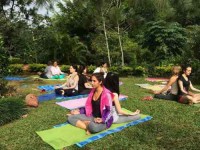 7 Days You Are What You Juice Yoga Retreat in Panama