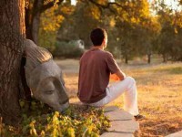 6 Days Yoga Retreat in California