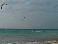 8 Days Caribbean Adventure and Yoga Retreat in Bonaire
