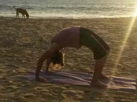 30 Days 200-hour Yoga Teacher Training in India