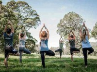 8 Days Mount Warning Yoga Retreat in Australia