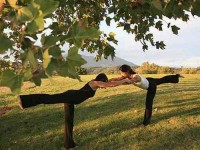 3 Days Hiking and Wine Yoga Retreat in California