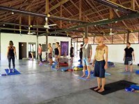 28 Days 200hr Yoga Therapy & Alignment Yoga Teacher Training in Thailand