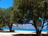 8 Days Spring Walk and Yoga Retreat in Greece