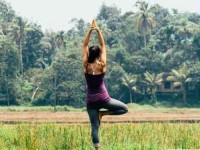 6 Days Ayurveda Yoga Retreat in India