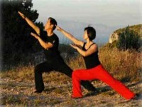 11 Days 70hr Tao Yin Yoga Teacher Training in USA