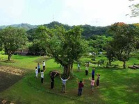 3 Days Yoga & Meditation Retreat in Taiwan