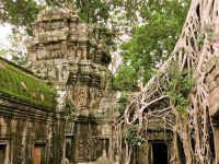 13 Days Women Culture and Yoga Retreat Cambodia