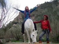 7 Days Wisdom of Horses Yoga Retreat in Spain