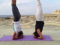 21 день 200-часовой Шивананда Обучение учителей йоги на Мальте