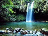 8 Days Sound Healing, Cleansing & Yoga Retreat Hawaii