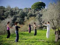 6 Days Nature's Wisdom Within and Yoga Retreat in Spain