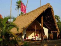 11 дней Eco Paradise Retreat Йога в Индии	
