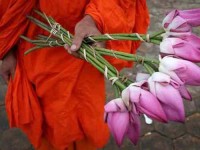 9 дней Айенгар Йога Retreat в Камбодже
