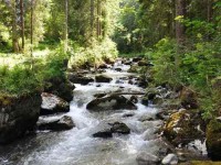 3 Days Mindfulness Autumn Yoga Retreat Switzerland