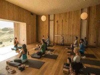 5 Days Wellness and Yoga Retreat in New Zealand