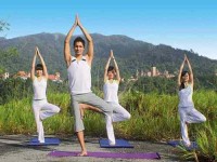 6 Days Stress Relief Yoga Retreat in Malaysia