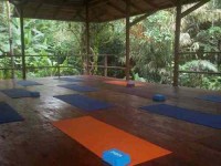 20 дней Уровень 1 Йога подготовки учителей в Коста-Рике